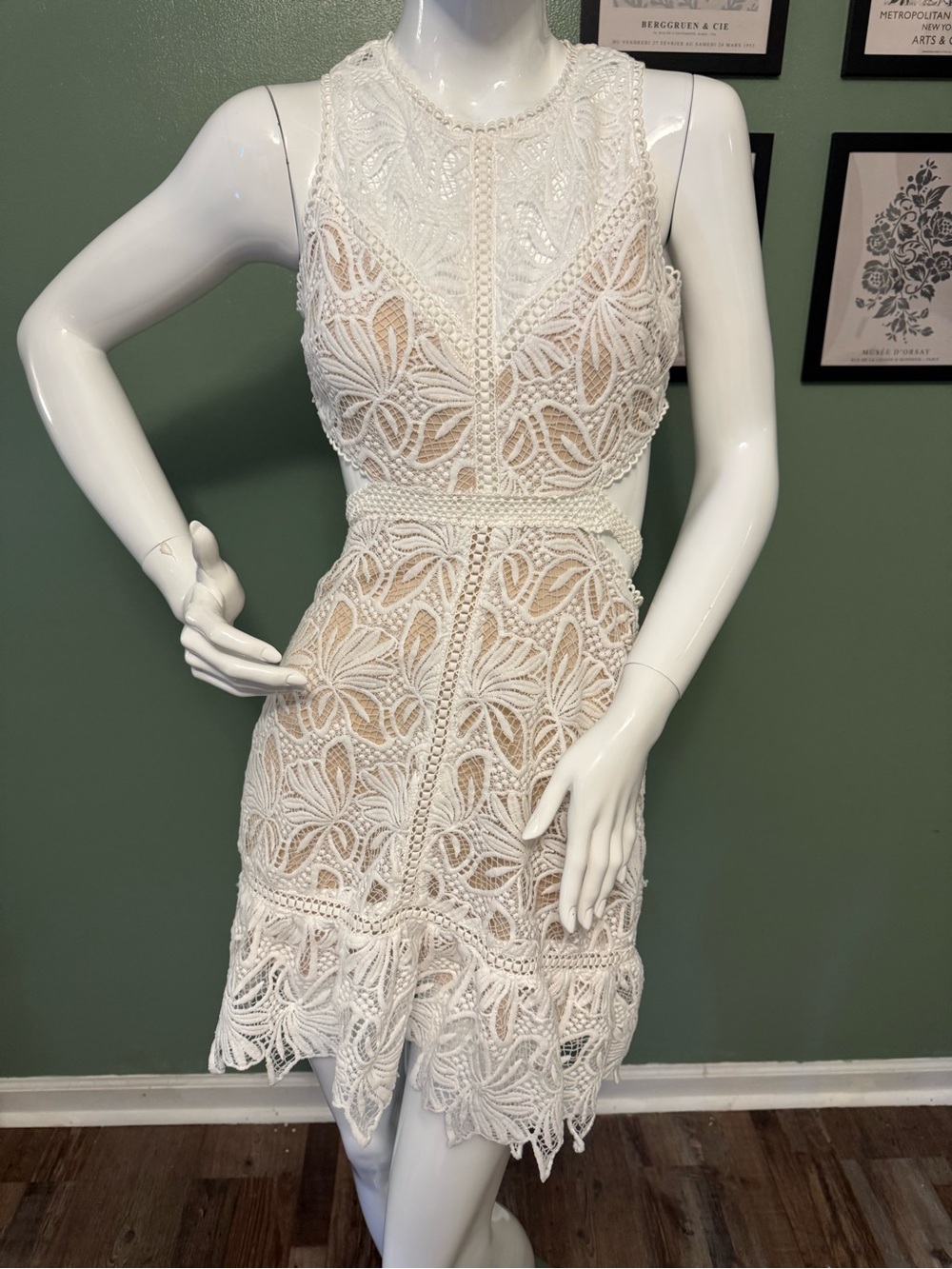 Lush White Crochet Cutout Lace Dress